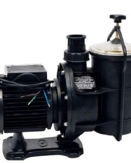 EQ Pump – EartheCo Pump And Motor 0.75kW